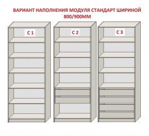 Шкаф распашной серия «ЗЕВС» (PL3/С1/PL2) Серый камень/Небраска натуральный в Асбесте - asbest.ok-mebel.com | фото 6