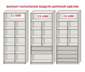 Шкаф распашной серия «ЗЕВС» (PL3/С1/PL2) Серый камень/Небраска натуральный в Асбесте - asbest.ok-mebel.com | фото 7