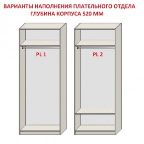 Шкаф распашной серия «ЗЕВС» (PL3/С1/PL2) Серый камень/Небраска натуральный в Асбесте - asbest.ok-mebel.com | фото 9