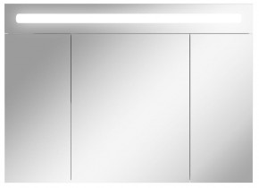 Шкаф-зеркало Аврора 100 с подсветкой LED Домино (DV8012HZ) в Асбесте - asbest.ok-mebel.com | фото