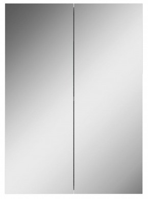 Шкаф-зеркало Норма 50 2 двери АЙСБЕРГ (DA1636HZ) в Асбесте - asbest.ok-mebel.com | фото 4