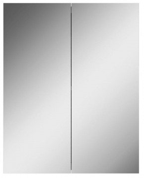 Шкаф-зеркало Норма 55 2 двери АЙСБЕРГ (DA1638HZ) в Асбесте - asbest.ok-mebel.com | фото 4