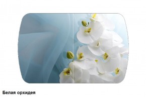 Стол Бостон-2 (1100*700) опоры Брифинг в Асбесте - asbest.ok-mebel.com | фото 3