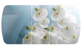 Стол Бостон-3 (Белая Орхидея) 1100/1420*700, опора Брифинг в Асбесте - asbest.ok-mebel.com | фото 2
