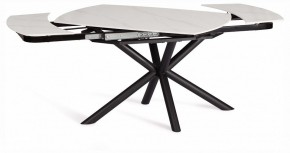 Стол обеденный Winston в Асбесте - asbest.ok-mebel.com | фото 3