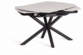Стол обеденный Winston в Асбесте - asbest.ok-mebel.com | фото 5