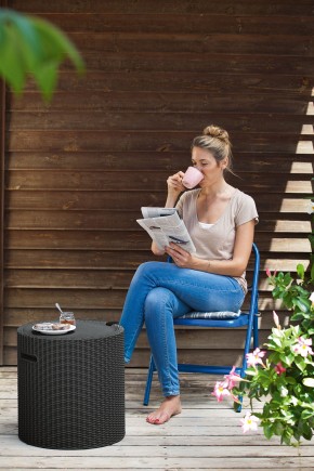 Столик-холодильник Кул-Стул (Cool stool) графит в Асбесте - asbest.ok-mebel.com | фото