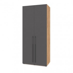 СТОУН С21 Шкаф 2-х створчатый (дуб золотой/графит) в Асбесте - asbest.ok-mebel.com | фото