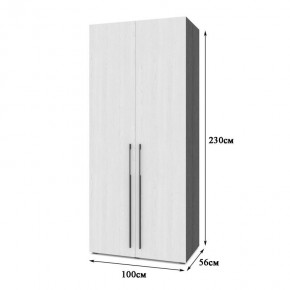 СТОУН С22 Шкаф 2-х створчатый (серый дуб/белый) в Асбесте - asbest.ok-mebel.com | фото 2