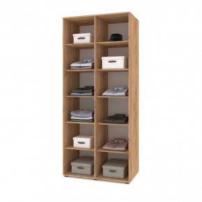 СТОУН С23 Шкаф 2-х створчатый (дуб золотой/графит) в Асбесте - asbest.ok-mebel.com | фото 3