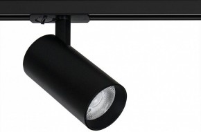 Светильник на штанге Arte Lamp Bene A1947PL-1BK в Асбесте - asbest.ok-mebel.com | фото