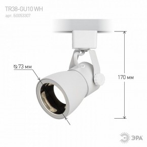 Светильник на штанге Эра  TR38-GU10 WH в Асбесте - asbest.ok-mebel.com | фото 6