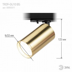 Светильник на штанге Эра  TR39-GU10 BS в Асбесте - asbest.ok-mebel.com | фото 6