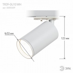 Светильник на штанге Эра  TR39-GU10 WH в Асбесте - asbest.ok-mebel.com | фото 7