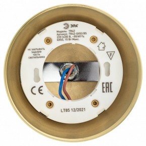 Светильник на штанге Эра  TR42-GX53 BS в Асбесте - asbest.ok-mebel.com | фото 5