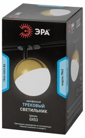 Светильник на штанге Эра  TR42-GX53 BS в Асбесте - asbest.ok-mebel.com | фото 6