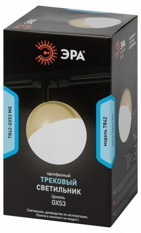 Светильник на штанге Эра  TR42-GX53 MG в Асбесте - asbest.ok-mebel.com | фото 6