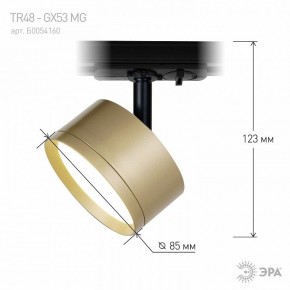 Светильник на штанге Эра  TR48 - GX53 MG в Асбесте - asbest.ok-mebel.com | фото 4