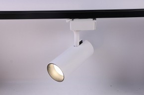 Светильник на штанге Эра  TR5-20 COB WH в Асбесте - asbest.ok-mebel.com | фото 2