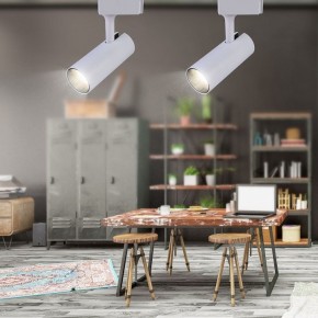 Светильник на штанге Эра  TR5-20 COB WH в Асбесте - asbest.ok-mebel.com | фото 4