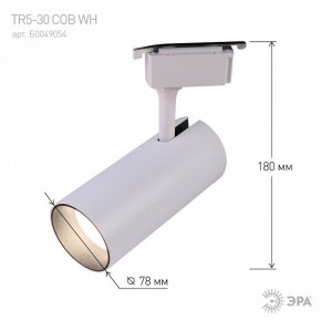 Светильник на штанге Эра  TR5-30 COB WH в Асбесте - asbest.ok-mebel.com | фото 6