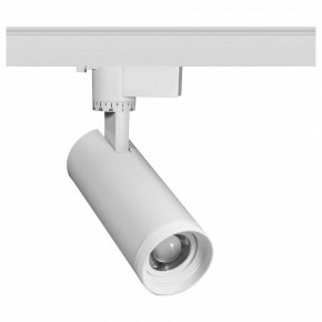 Светильник на штанге Эра  TR59 - 2030 WH в Асбесте - asbest.ok-mebel.com | фото