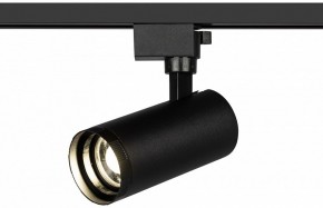 Светильник на штанге Эра  TR59 - 2040 BK в Асбесте - asbest.ok-mebel.com | фото 5
