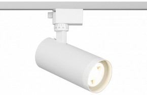 Светильник на штанге Эра  TR59 - 2040 WH в Асбесте - asbest.ok-mebel.com | фото