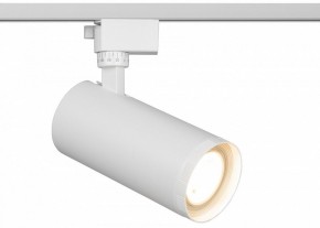 Светильник на штанге Эра  TR59 - 3030 WH в Асбесте - asbest.ok-mebel.com | фото