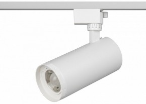 Светильник на штанге Эра  TR59 - 3030 WH в Асбесте - asbest.ok-mebel.com | фото 2