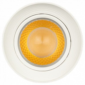 Светильник на штанге Эра  TR59 - 3030 WH в Асбесте - asbest.ok-mebel.com | фото 3