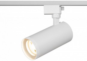 Светильник на штанге Эра  TR59 - 3030 WH в Асбесте - asbest.ok-mebel.com | фото 5
