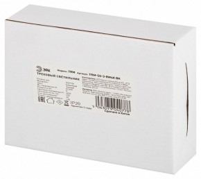 Светильник на штанге Эра  TRM-S5-3-8W4K-BK в Асбесте - asbest.ok-mebel.com | фото 8