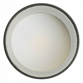 Светильник на штанге Feron ML1001 51371 в Асбесте - asbest.ok-mebel.com | фото 4