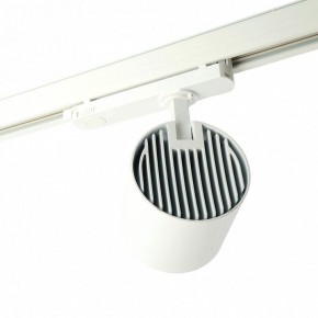 Светильник на штанге Feron TR Reflex 52058 в Асбесте - asbest.ok-mebel.com | фото 3