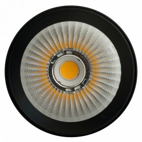 Светильник на штанге Feron TR Reflex 52059 в Асбесте - asbest.ok-mebel.com | фото 12