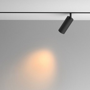 Светильник на штанге Maytoni Artisan TR097-2-12W2.7K-M-BB в Асбесте - asbest.ok-mebel.com | фото 4