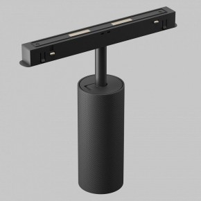 Светильник на штанге Maytoni Artisan TR097-2-12W2.7K-M-BB в Асбесте - asbest.ok-mebel.com | фото 6