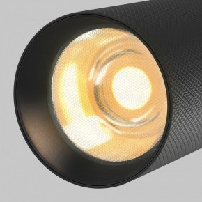 Светильник на штанге Maytoni Artisan TR097-2-12W2.7K-M-BB в Асбесте - asbest.ok-mebel.com | фото 9