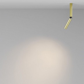Светильник на штанге Maytoni Focus T C142CL-6W3K-BS в Асбесте - asbest.ok-mebel.com | фото 4