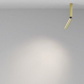 Светильник на штанге Maytoni Focus T C142CL-6W4K-BS в Асбесте - asbest.ok-mebel.com | фото 4