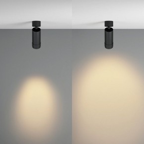 Светильник на штанге Maytoni Focus Zoom C055CL-L12W2.7K-Z-B в Асбесте - asbest.ok-mebel.com | фото 3