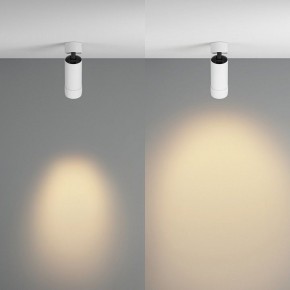 Светильник на штанге Maytoni Focus Zoom C055CL-L12W2.7K-Z-W в Асбесте - asbest.ok-mebel.com | фото 3