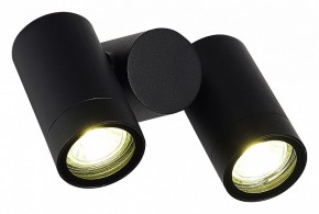 Светильник на штанге ST-Luce Ecollo SL9011.402.02 в Асбесте - asbest.ok-mebel.com | фото 3