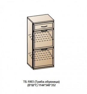 ТБ-1003 (Тумба-обувница) в Асбесте - asbest.ok-mebel.com | фото