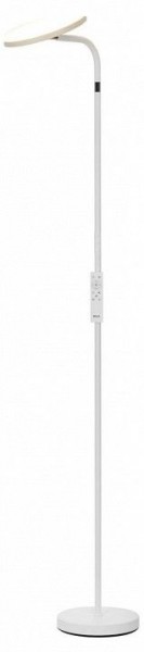 Торшер Citilux SOLO CL804060 в Асбесте - asbest.ok-mebel.com | фото