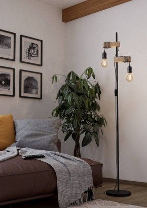 Торшер Eglo ПРОМО TOWNSHEND 43516 в Асбесте - asbest.ok-mebel.com | фото 2
