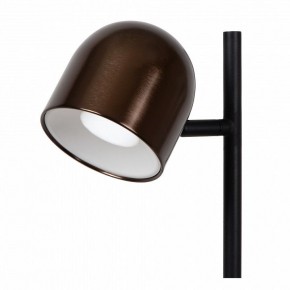 Торшер Lucide Skanska Rech 03749/03/96 в Асбесте - asbest.ok-mebel.com | фото 3