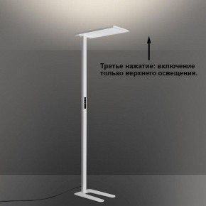 Торшер Novotech STUDI 359545 в Асбесте - asbest.ok-mebel.com | фото 6
