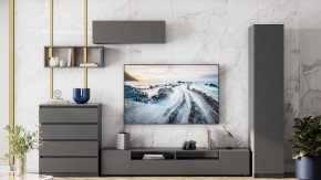 Тумба под ТВ Сибити в Асбесте - asbest.ok-mebel.com | фото 3